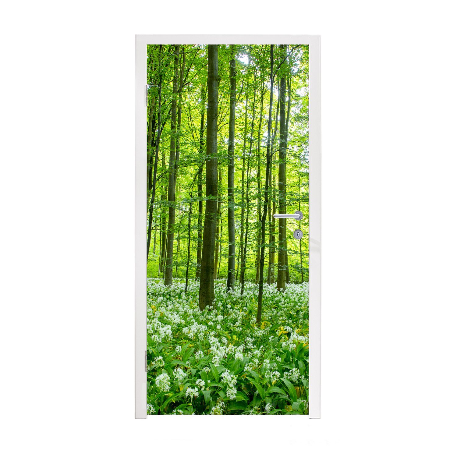 Türaufkleber, Tür, Wald Matt, Fototapete (1 St), - für bedruckt, Grün, cm 75x205 MuchoWow - Türtapete Bäume