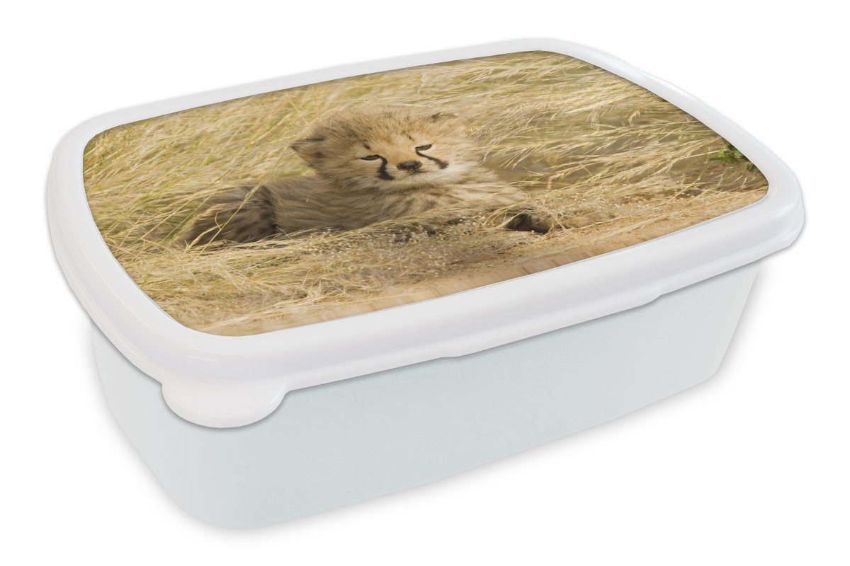 MuchoWow Brotbox Kinder - für weiß und (2-tlg), Lunchbox Erwachsene, Gras, Gepard Brotdose, Jung und Mädchen Jungs Kunststoff, für -