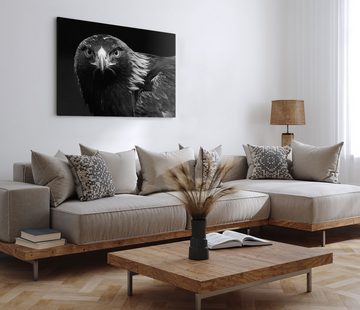 Sinus Art Leinwandbild 120x80cm Wandbild auf Leinwand Adler Schwarz Weiß Tierfotografie Raubv, (1 St)