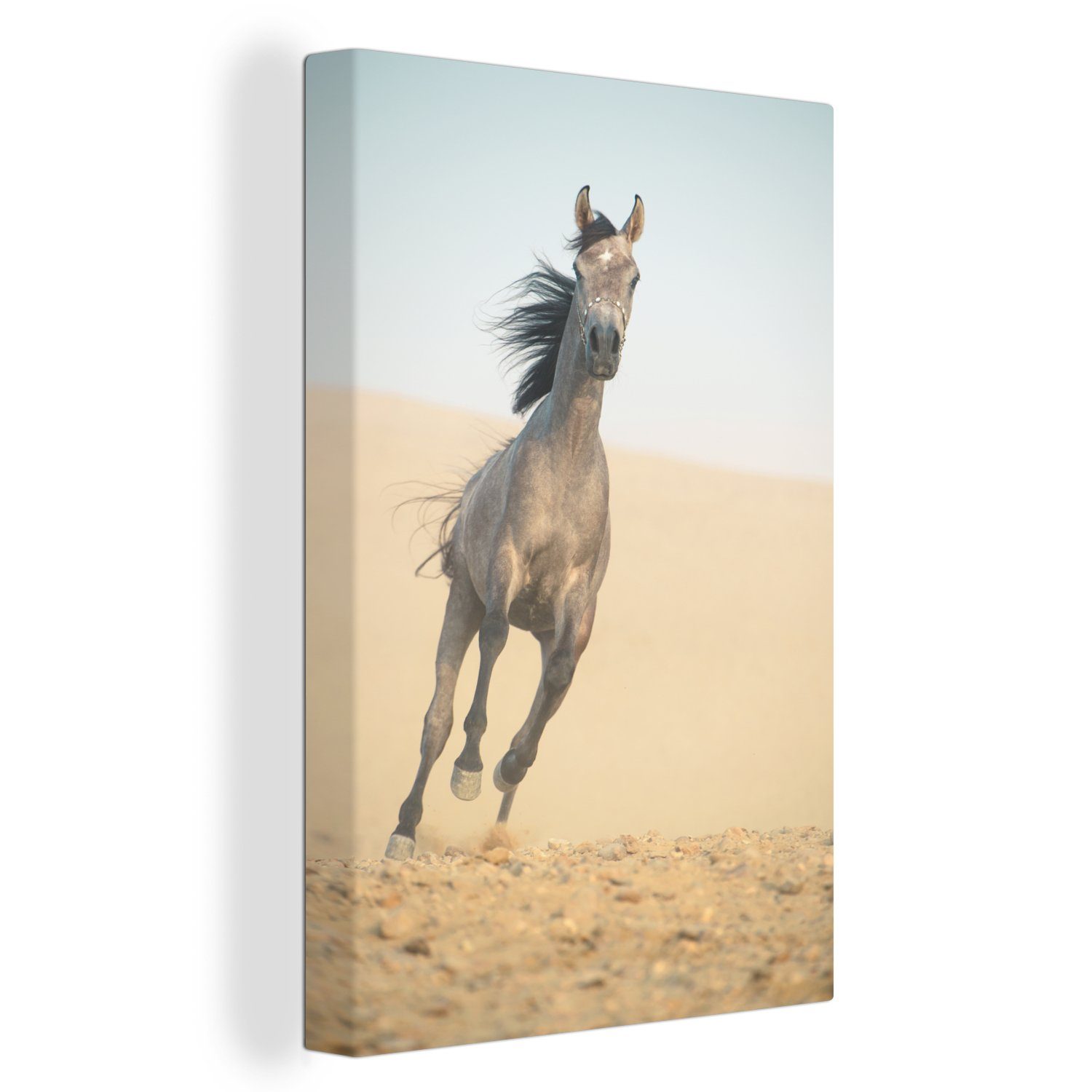 OneMillionCanvasses® Leinwandbild Pferd - (1 fertig - Leinwandbild Wüste, bespannt St), cm inkl. Sand Zackenaufhänger, Gemälde, 20x30