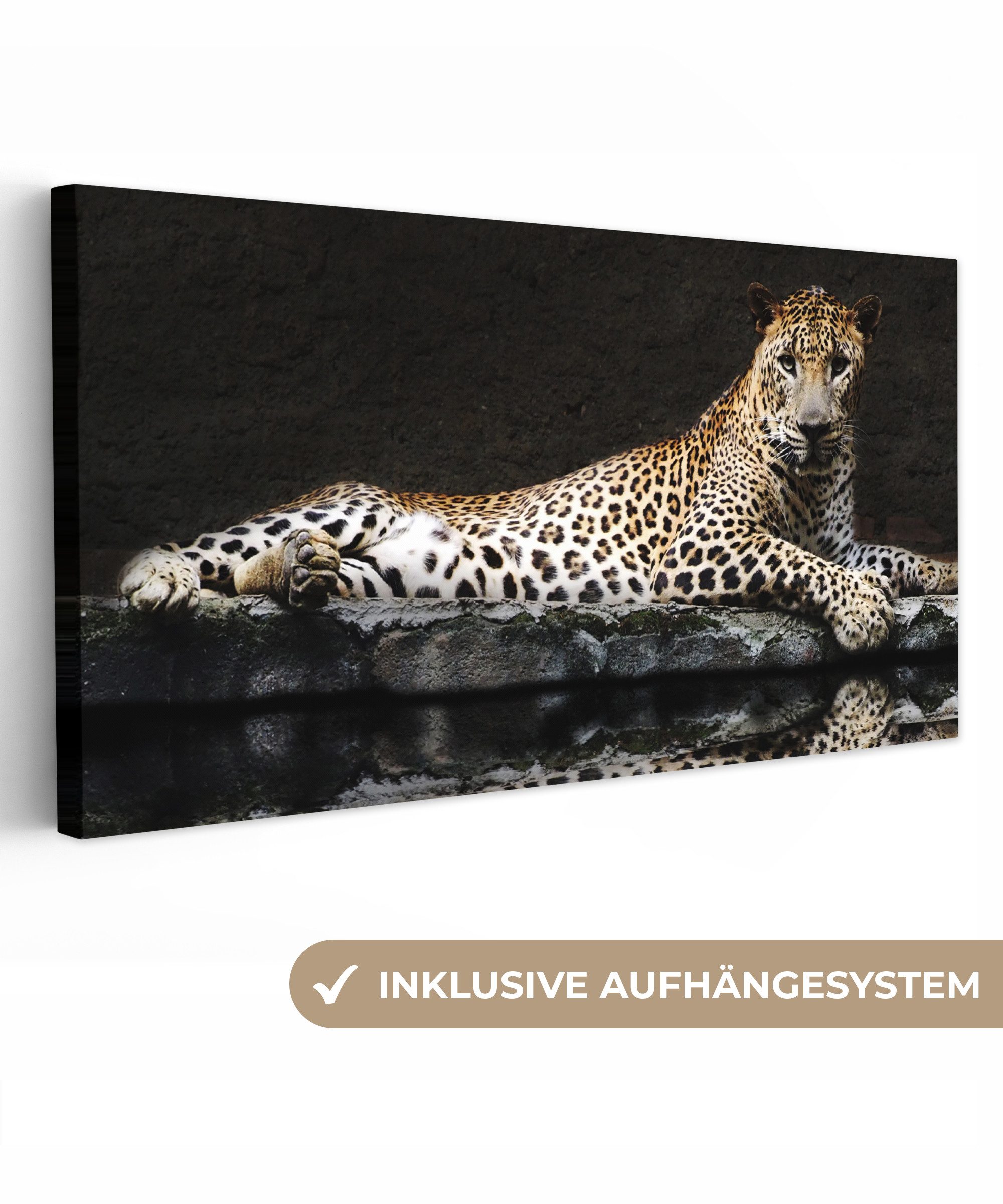 OneMillionCanvasses® Leinwandbild Panorama Leopard - Wasser günstig online kaufen