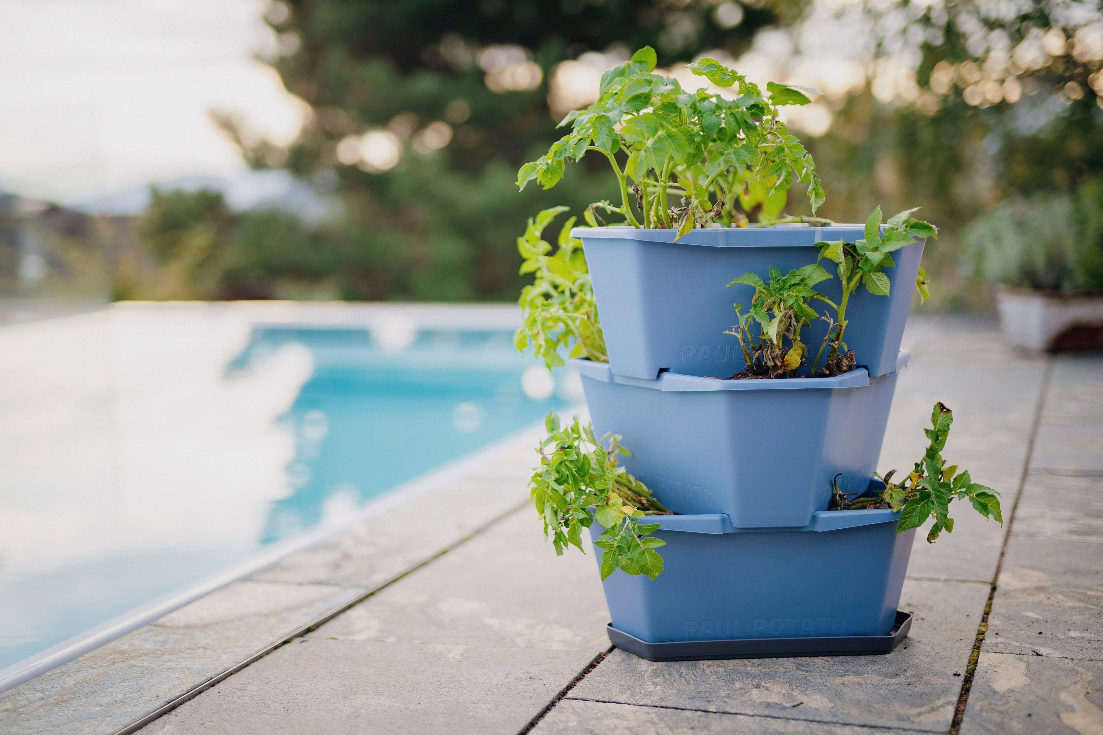 Pflanzkübel Gusta Garden inkl. POTATO Kartoffelturm, blau 3 PAUL Untersetzer, Etagen simpler von Kartoffeln Anbau stapelbar,