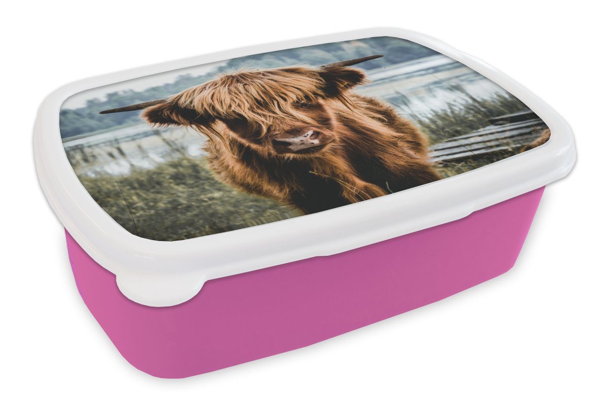 MuchoWow Lunchbox Kühe - Braun Snackbox, Mädchen, Kunststoff rosa (2-tlg), Erwachsene, Brotdose Kunststoff, - Kinder, Hochlandbewohner Brotbox für Natur, - Schottische