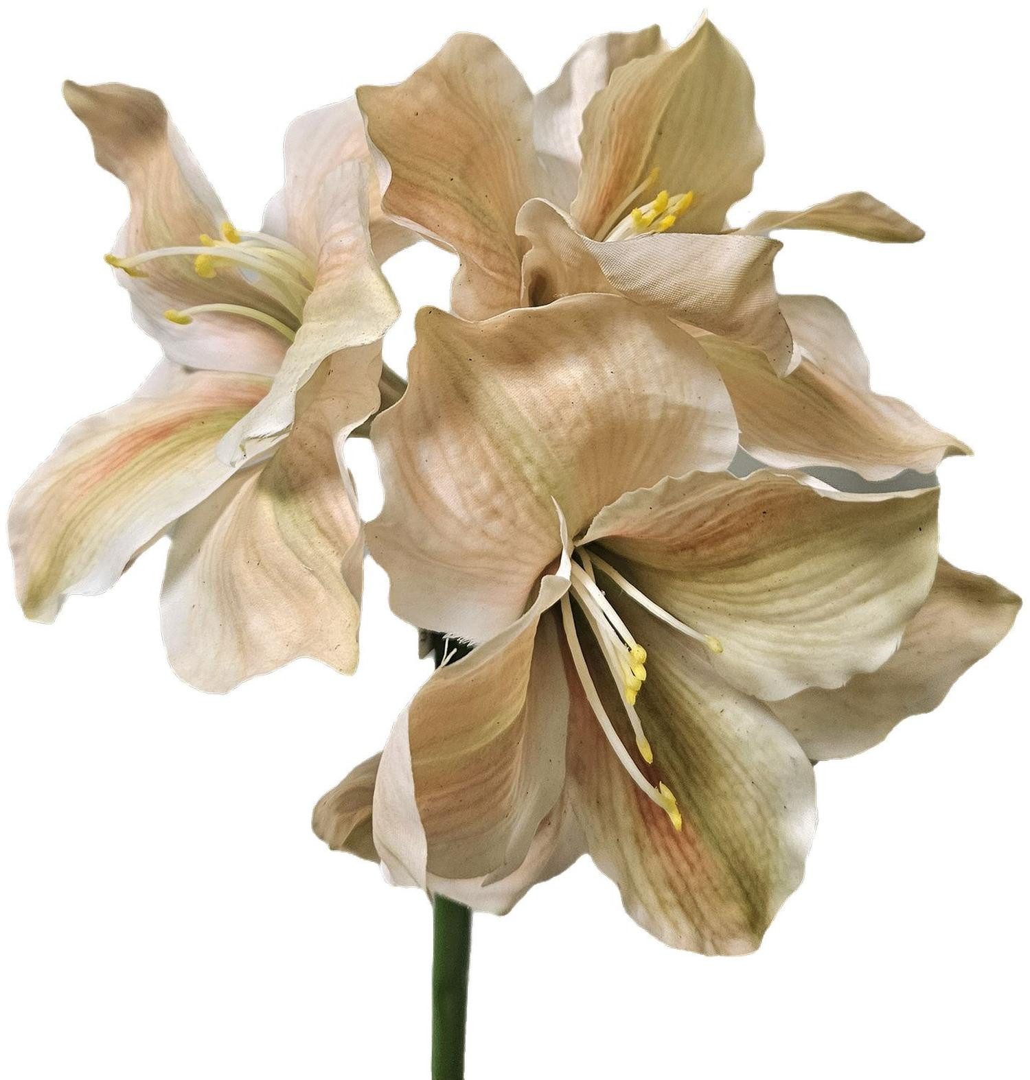 Kunstpflanze Künstliche Amaryllis 80cm Real Touch Creme-Aprikose, H. Andreas Belles fleurs