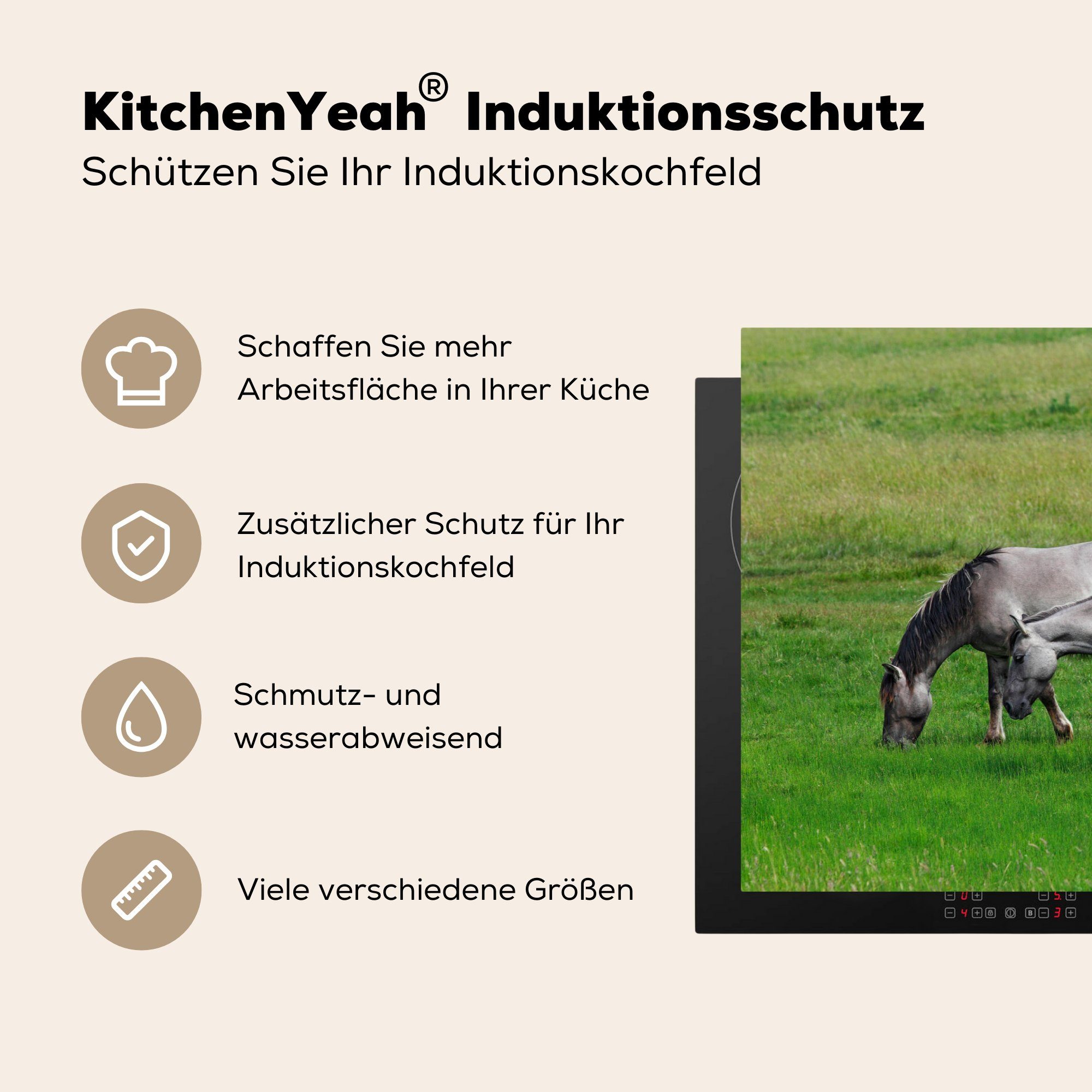 - Tiere - (1 Herdblende-/Abdeckplatte Vinyl, MuchoWow cm, für tlg), Schutz Ceranfeldabdeckung Pferde Gras, Induktionskochfeld die 81x52 küche,