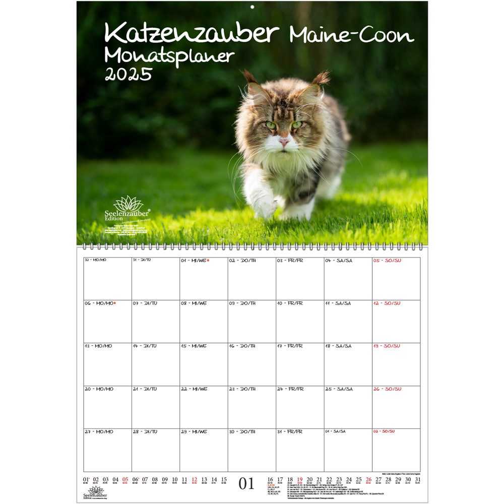 Seelenzauber Wandkalender Katzenzauber MaineCoon Wand Planer Kalender