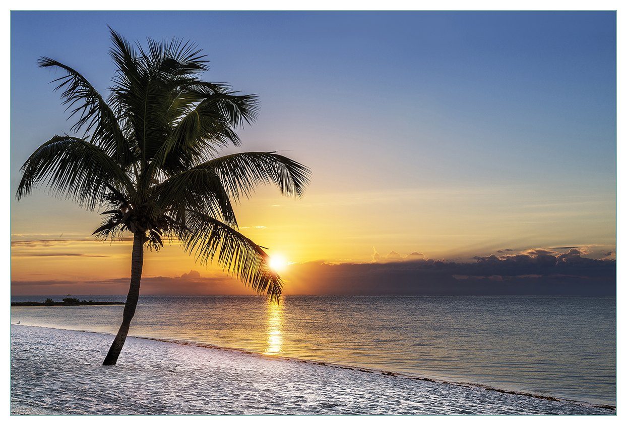 Wallario Küchenrückwand Palme am Strand - Sonnenuntergang über dem Meer, (1-tlg)