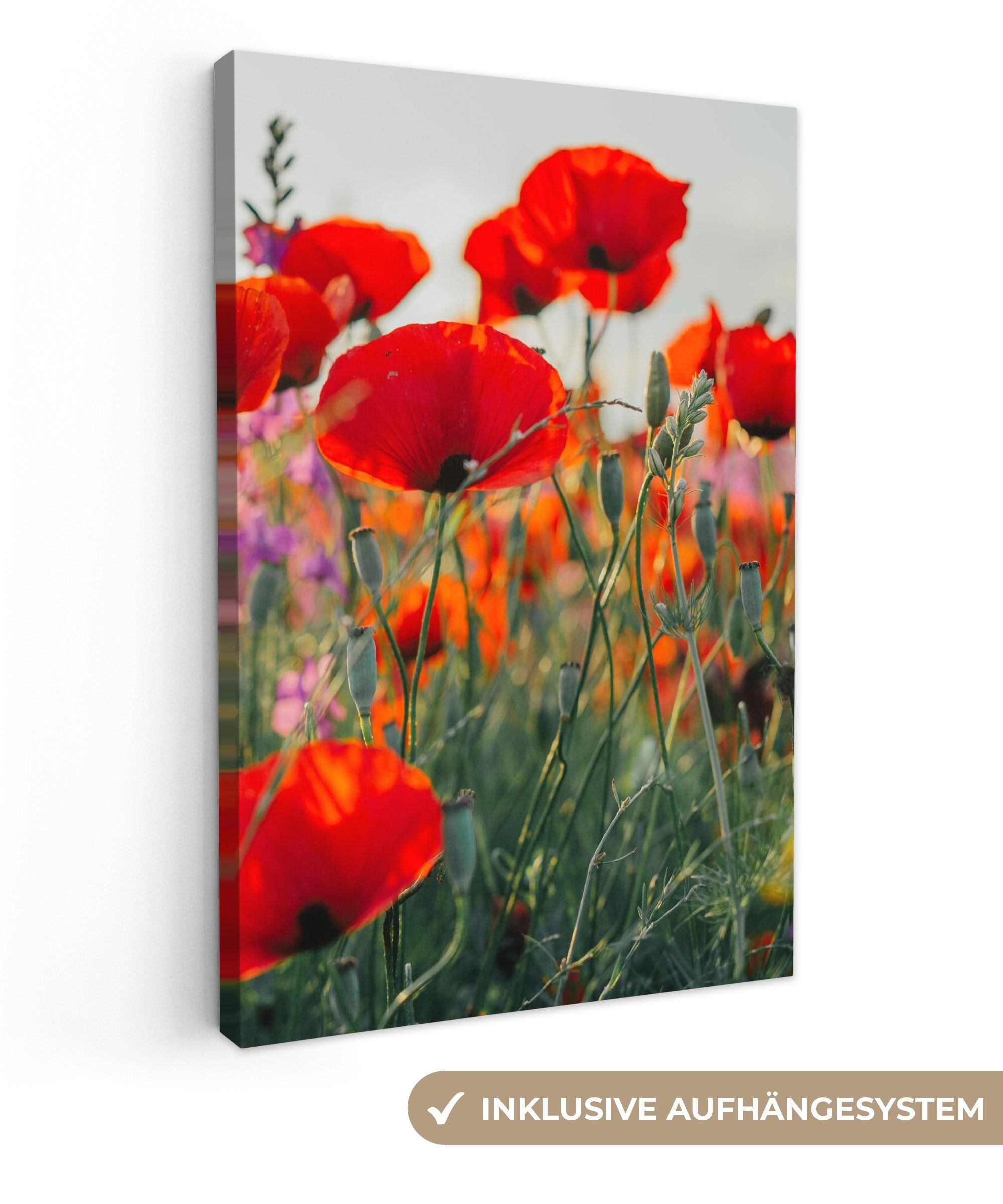 OneMillionCanvasses® Leinwandbild Mohn - Blumen - Rot - Lila - Wiese, Fotodruck (1 St), Leinwand Canvas Wandbild, Wanddekoration 20x30 cm