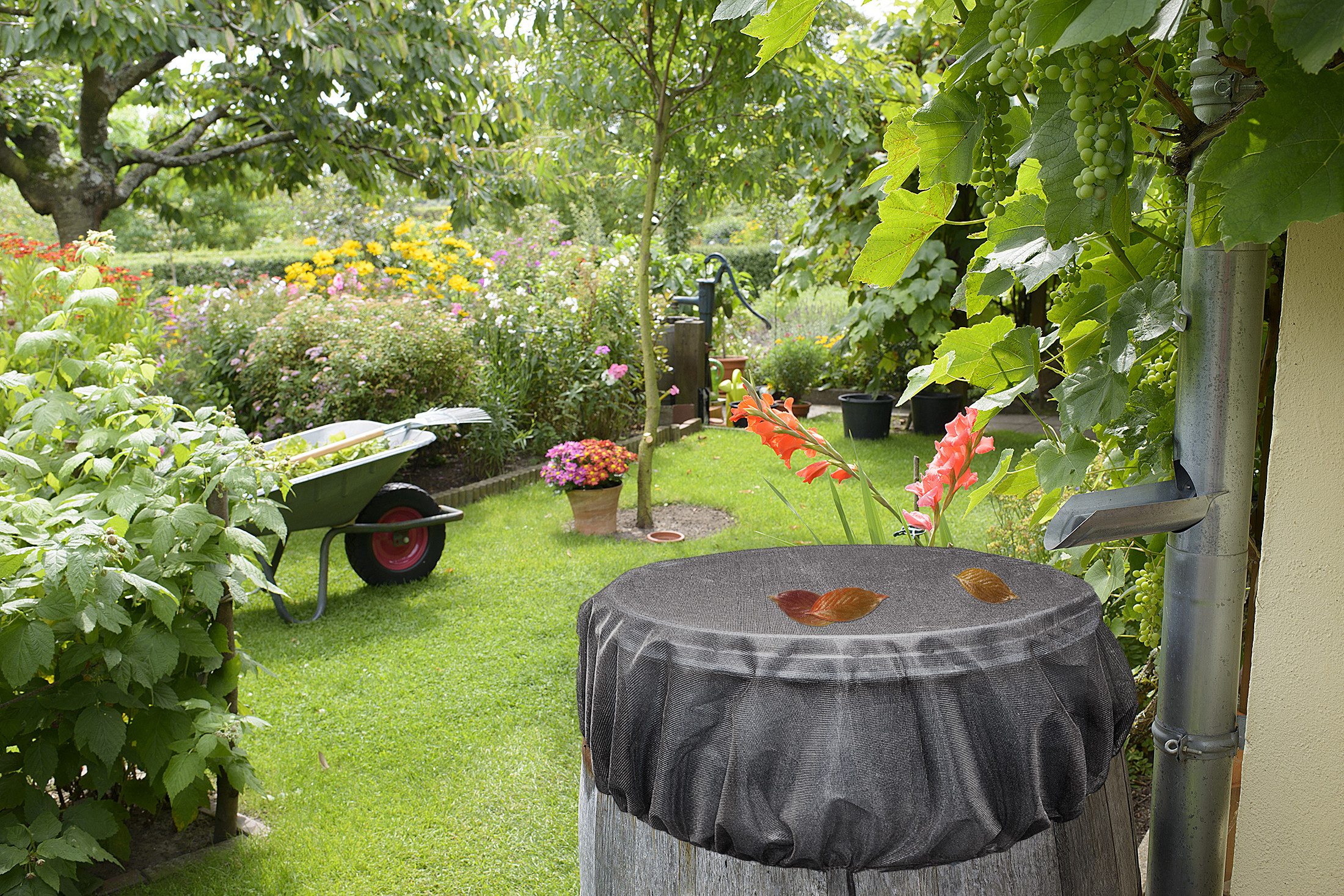 BigDean Regentonnendeckel Abdeckung Netz für Regentonne rund 95cm Schutz vor Stechmücken Laub, (Packung, 1-tlg., Regentonnennetz), Effektiver Doppelschutz; Sicherer & Fester Halt; Vielseitige Passform