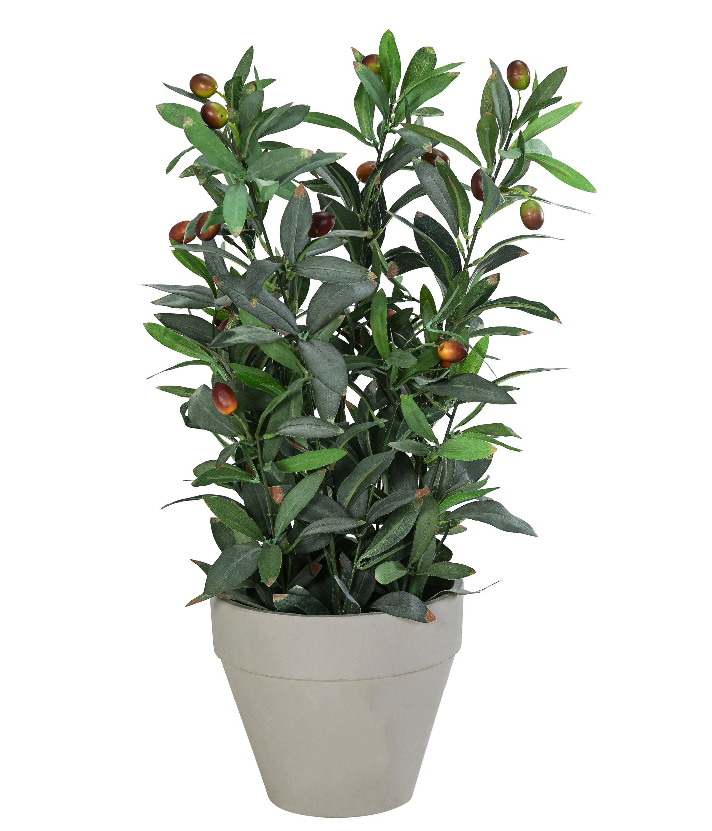 Kunstpflanze Olivenbaum, Polyester/Metall/Papier, ca. 20 x 20 x 42 cm Keine  Angabe, Dehner, Höhe 51 cm, verschiedene Topfgrößen, grün/grau