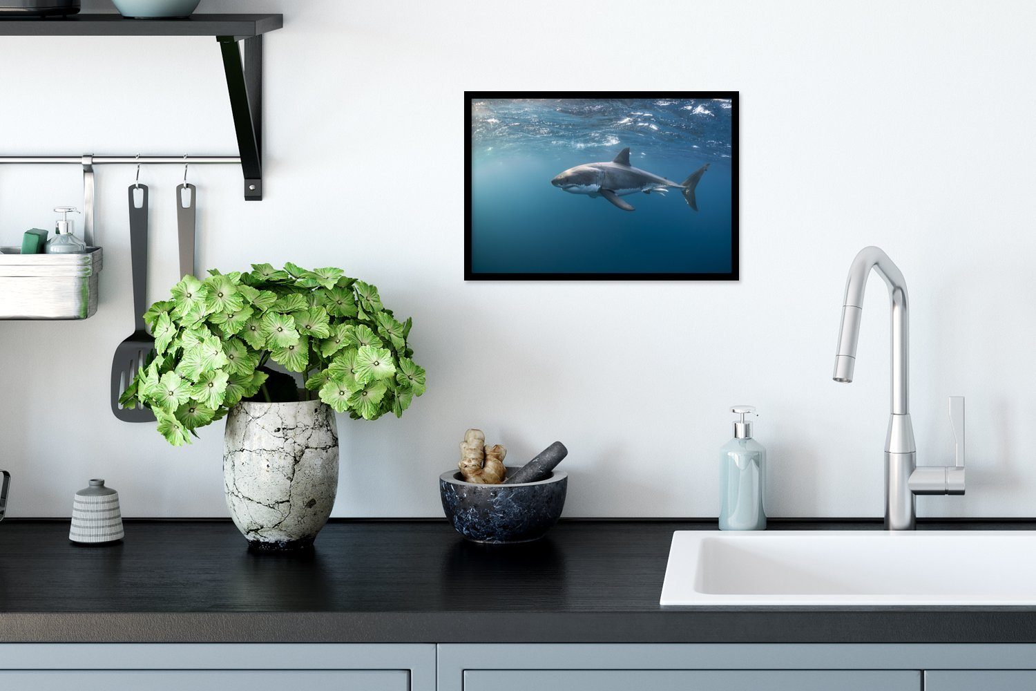 MuchoWow Poster Hai an der Oberfläche, günstig online kaufen