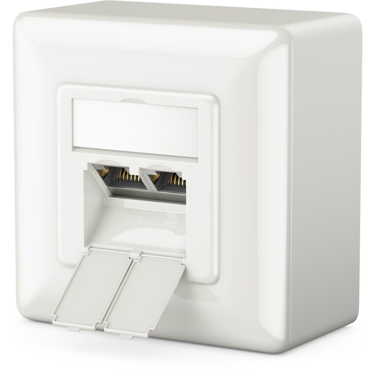 deleyCON 1x CAT6 Netzwerkdose 2x RJ45 Port Geschirmt Aufputz Netzwerk-Adapter