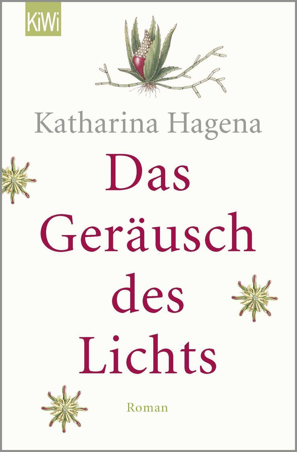 Das Geräusch des Lichts / Katharina Hagena