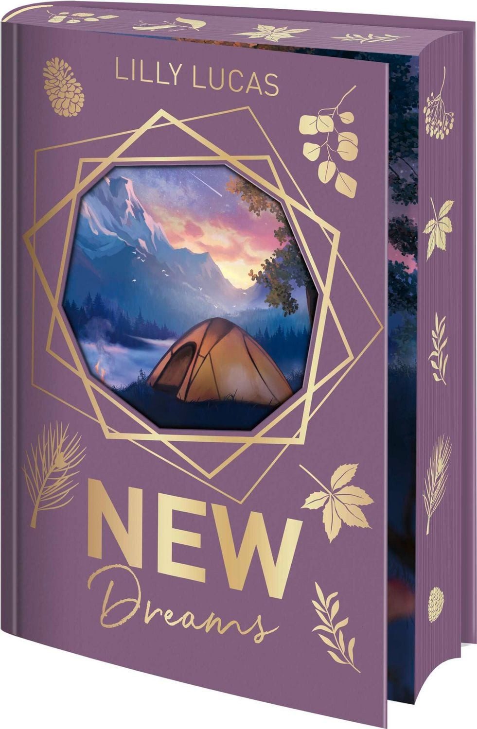 New Dreams / Lilly Lucas