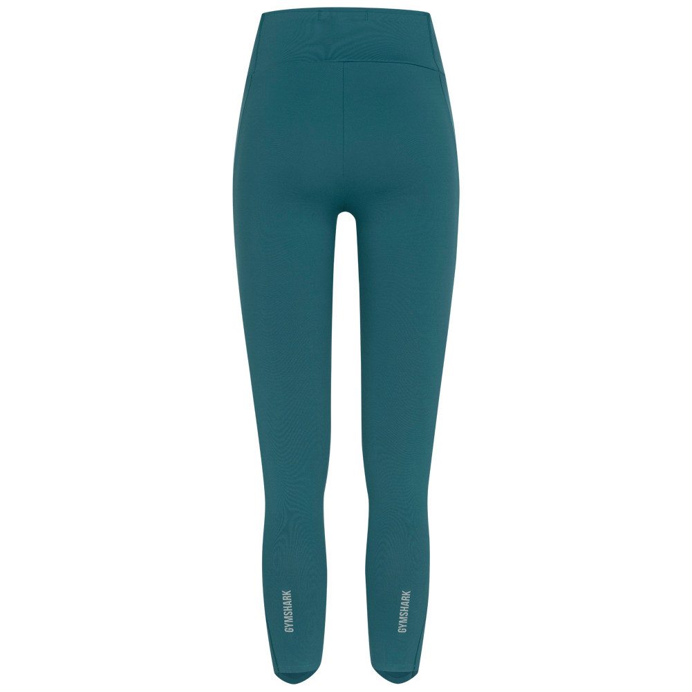 Gymshark Leggings Speed