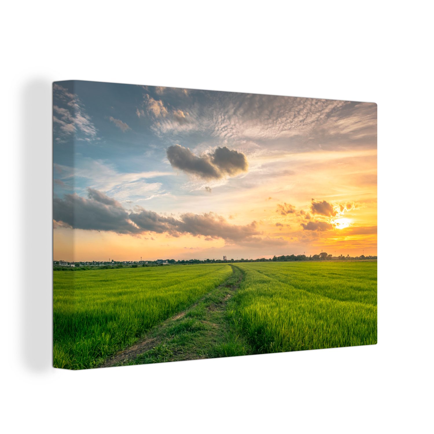 OneMillionCanvasses® Leinwandbild Himmel - Gras - Sonne, (1 St), Wandbild Leinwandbilder, Aufhängefertig, Wanddeko, 30x20 cm