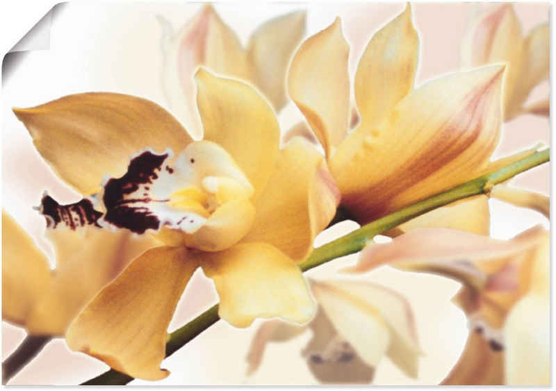 Artland Wandbild Gelbe Orchidee, Blumenbilder (1 St), als Alubild, Outdoorbild, Leinwandbild, Poster in verschied. Größen