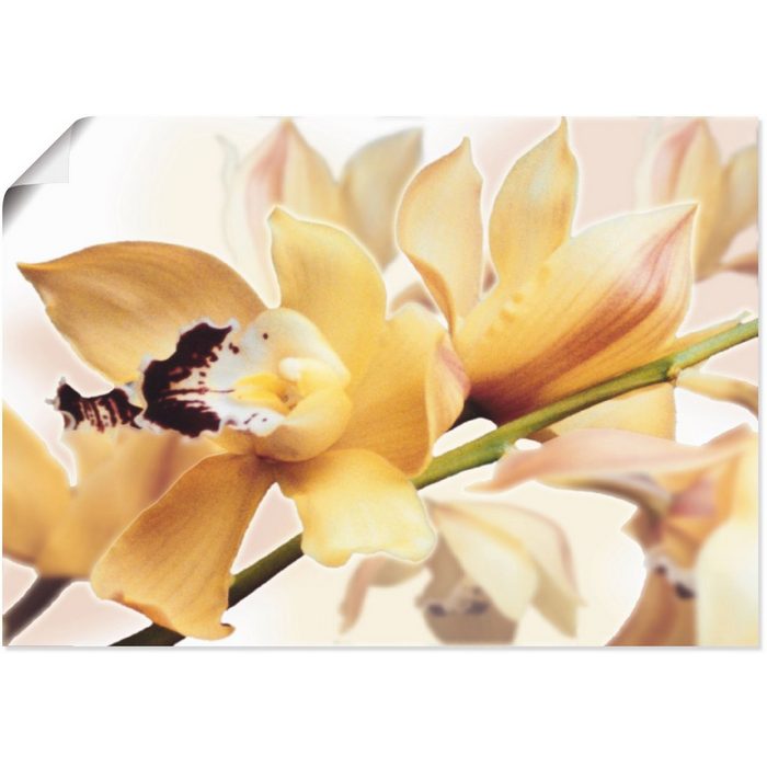 Artland Wandbild Gelbe Orchidee Blumenbilder (1 St) als Alubild Leinwandbild Wandaufkleber oder Poster in versch. Größen