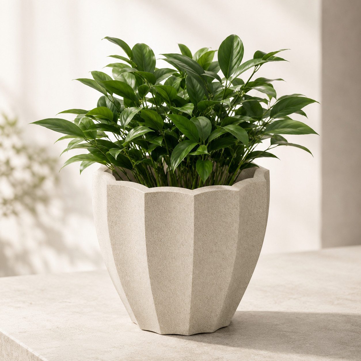 Prosperplast Blumentopf Dekorativer Blumentopf Ethick Rona Round TRO40 (1 St), Pflanzkübel ø 40 cm