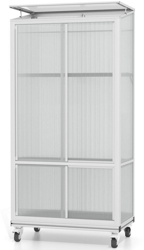Vitavia Gewächshaus HKP4mm, BxTxH: 81 x 43 x 168,2 cm, 4 mm Wandstärke, Balkongewächshaus mit Rollfundament, silber grau Vitavia Gewächshaus HKP4mm, BxTxH: 81 x 43 x 168,2 cm, 4 mm Wandstärke, Balkongewächshaus mit Rollfundament, silber grau