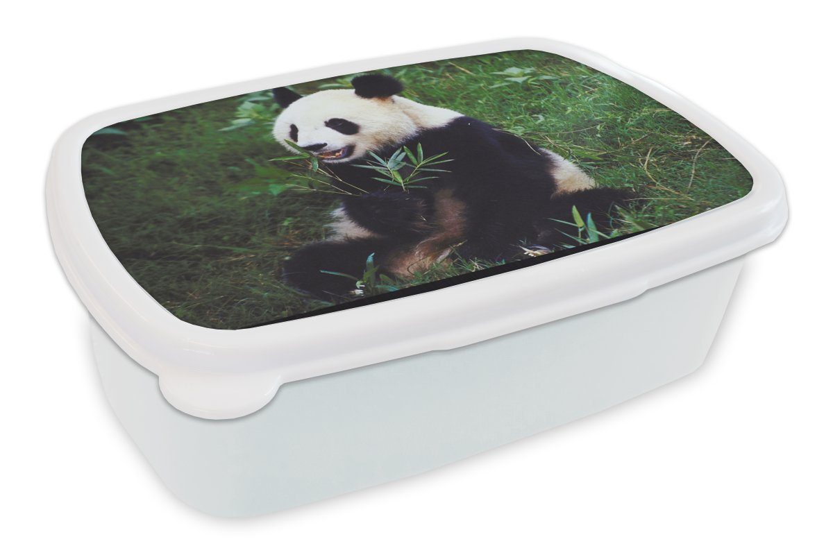 MuchoWow Lunchbox Panda - Wilde Tiere - Bambus - Gras, Kunststoff, (2-tlg), Brotbox für Kinder und Erwachsene, Brotdose, für Jungs und Mädchen weiß