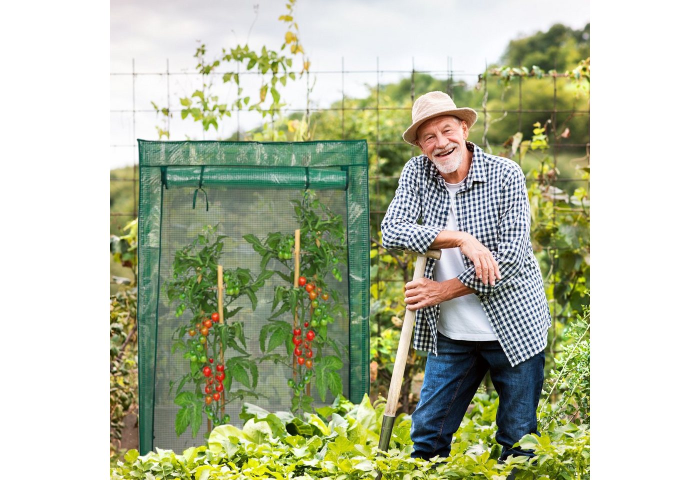 relaxdays Tomatengewächshaus 3 x Tomate... relaxdays Tomatengewächshaus 3 x Tomate...