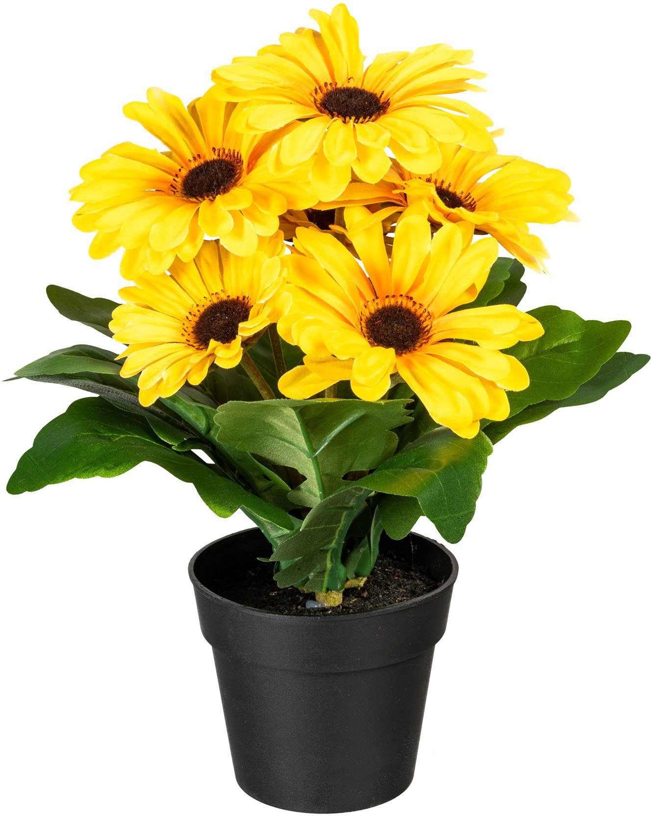 Kunstpflanze Elaine Gerbera, my home, Höhe 27 cm, im Topf, 2er Set günstig online kaufen