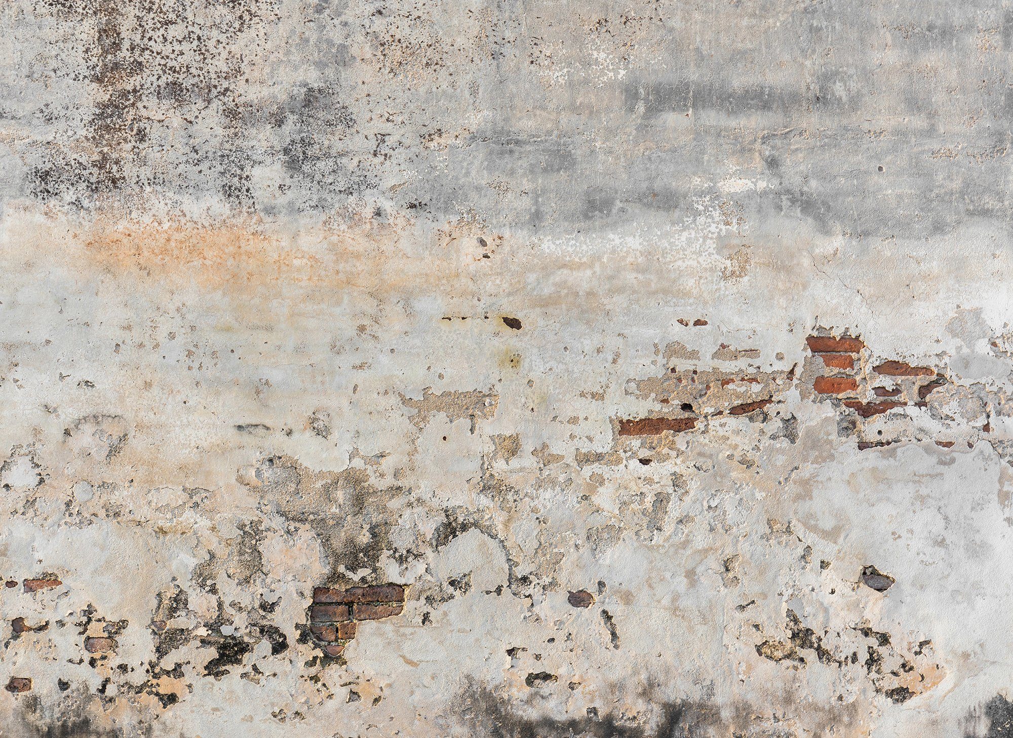 living walls Fototapete Designwalls Old Wall, glatt, (5 St), Vlies, Wand, Schräge, Decke
