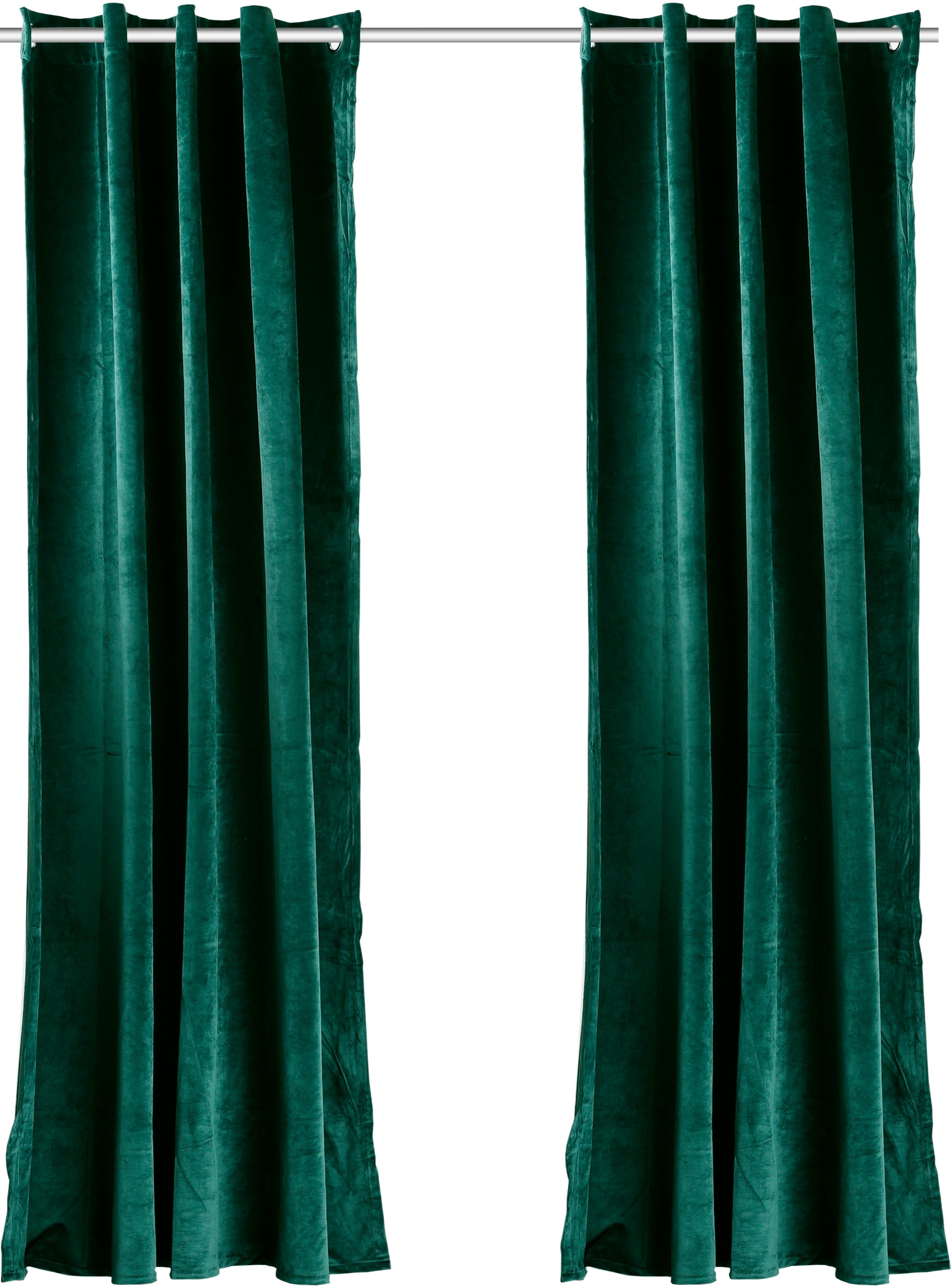 Vorhang Velvet Uni, my home, Ösen (2 St), blickdicht, Polyester, Samt dunkelgrün