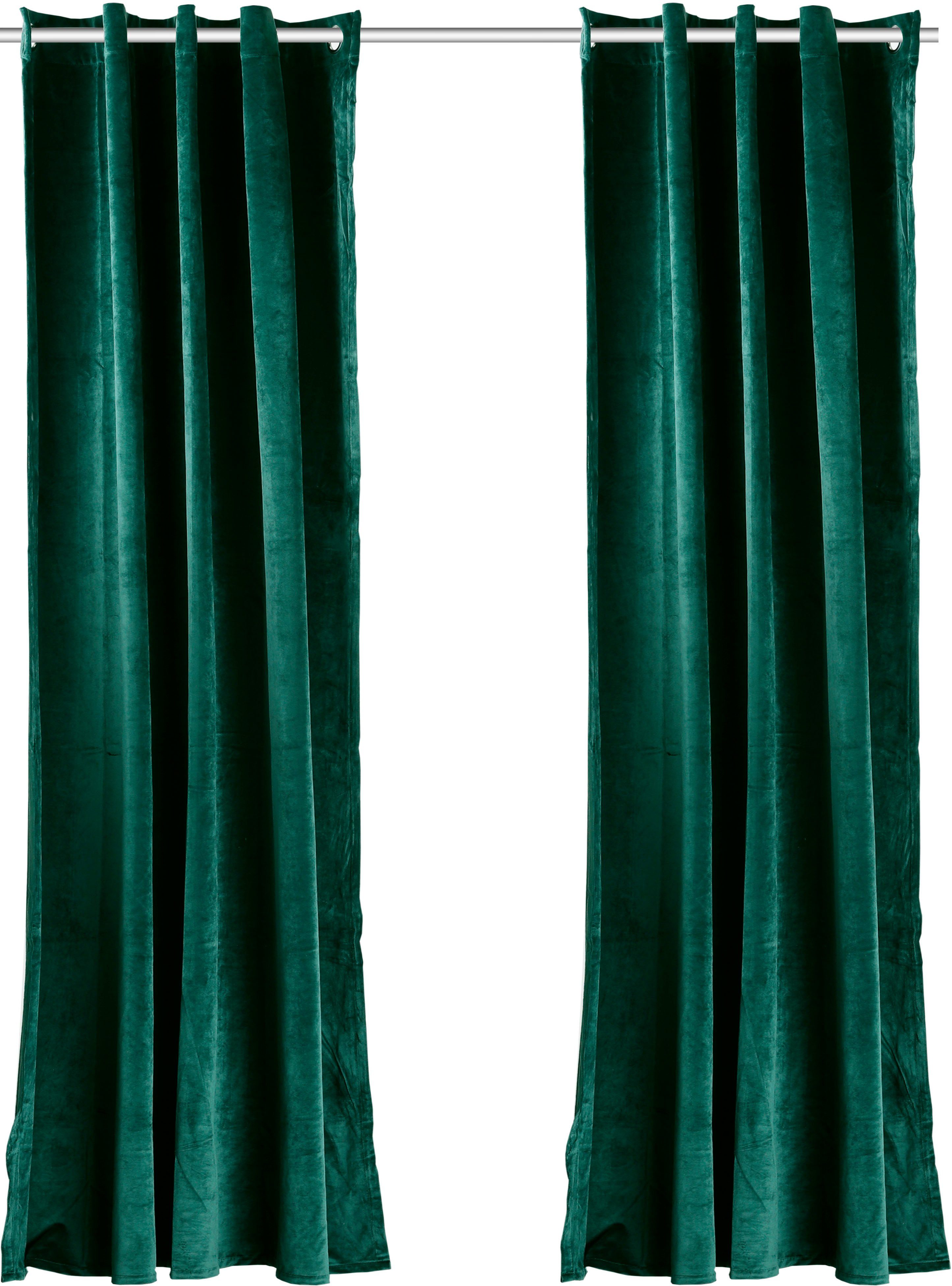 my home Vorhang Velvet Uni, Ösen günstig online kaufen