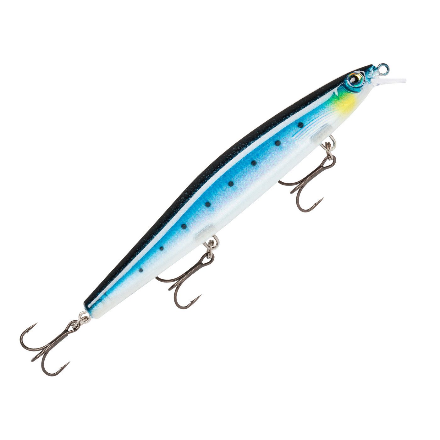 Flake Blue Sardine