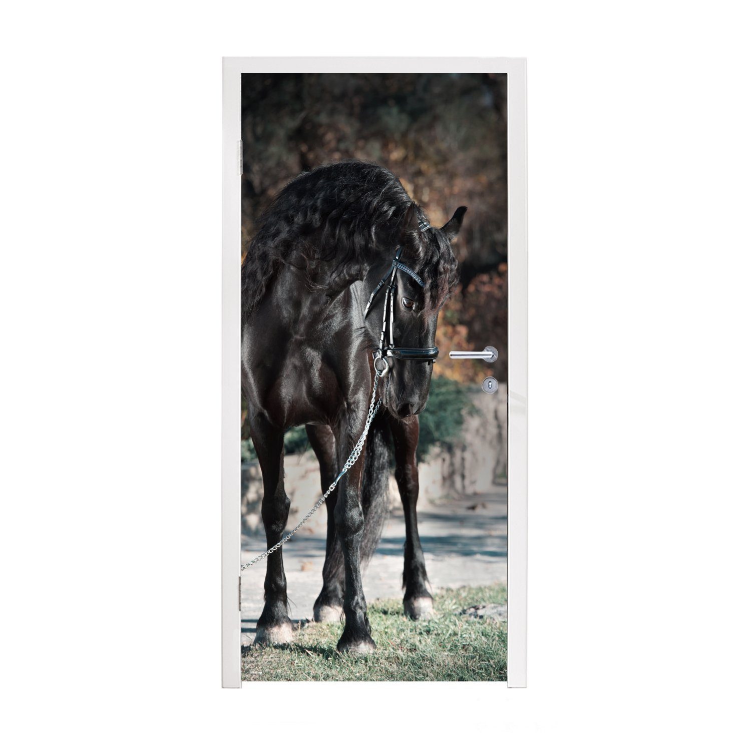 MuchoWow Türtapete Pferde - bedruckt, 75x205 Friese St), Halter, Türaufkleber, Tür, - für cm Matt, (1 Fototapete