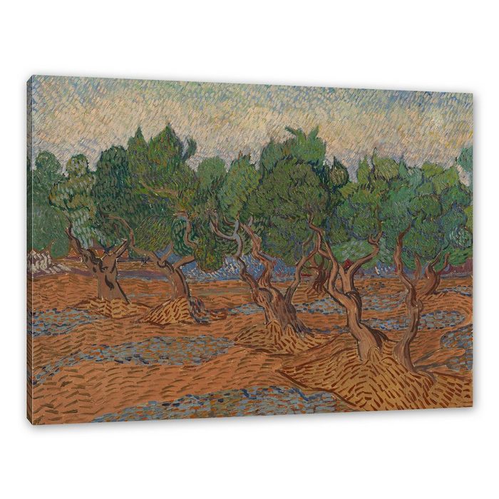 Pixxprint Leinwandbild Vincent Van Gogh - Oliven-Hain Wanddekoration (1 St) Leinwandbild fertig bespannt inkl. Zackenaufhänger
