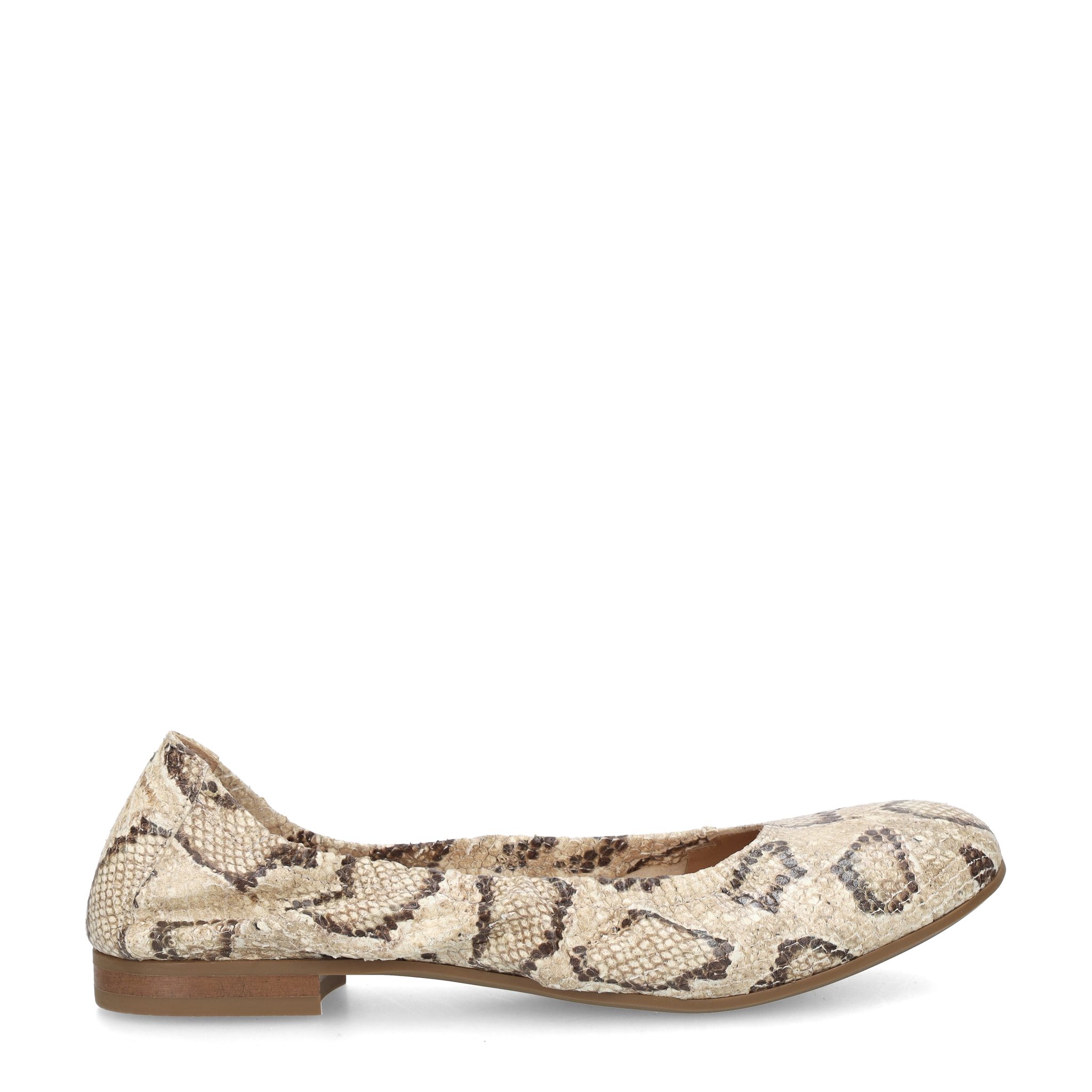 Donna Carolina Ballerina