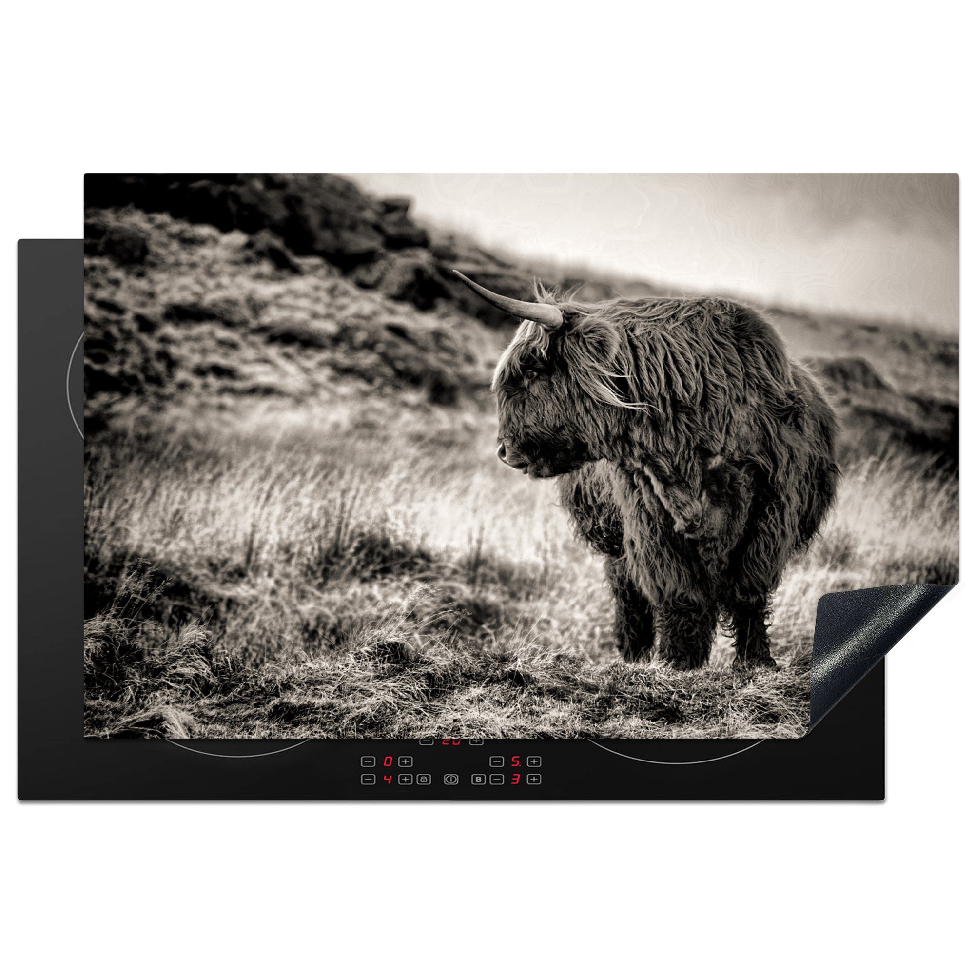 MuchoWow Herdblende-/Abdeckplatte Scottish Highlander - Kühe - Schwarz - Weiß, Vinyl, (1 tlg), 81x52 cm, Induktionskochfeld Schutz für die küche, Ceranfeldabdeckung | Herdabdeckplatten