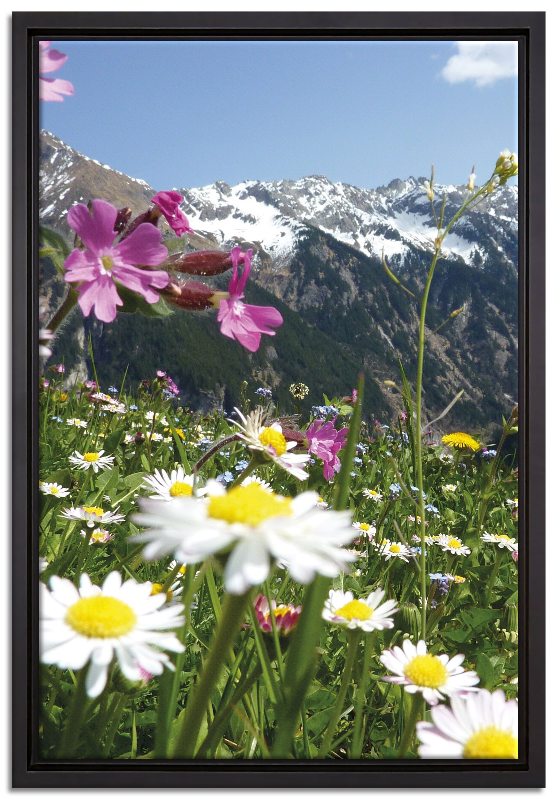 Pixxprint Leinwandbild Wunderschöne Blumen Alpenwiese, Wanddekoration (1 St), Leinwandbild fertig bespannt, in einem Schattenfugen-Bilderrahmen gefasst, inkl. Zackenaufhänger