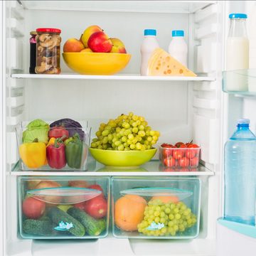 relaxdays Frischhaltedose 3 x Kühlschrank Organizer mit Griffen, Kunststoff