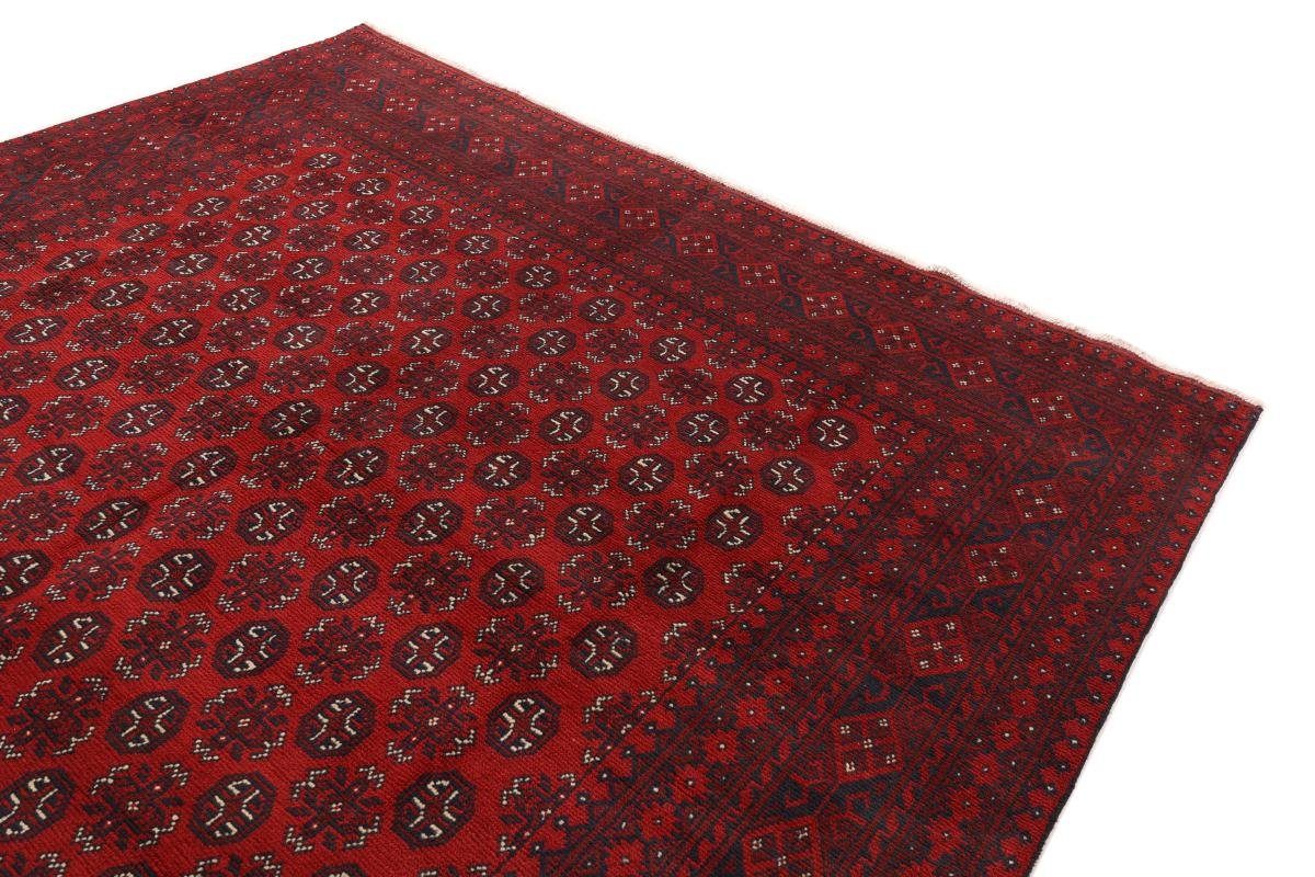 Orientteppich Afghan Trading, mm Handgeknüpfter Orientteppich, 248x346 6 Höhe: rechteckig, Nain Akhche