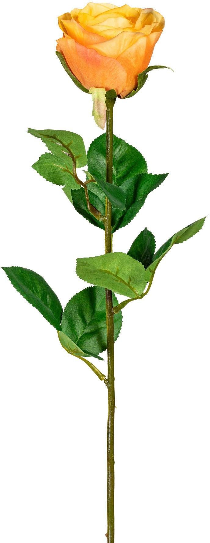 Kunstblume, Creativ green, Höhe 69 cm günstig online kaufen