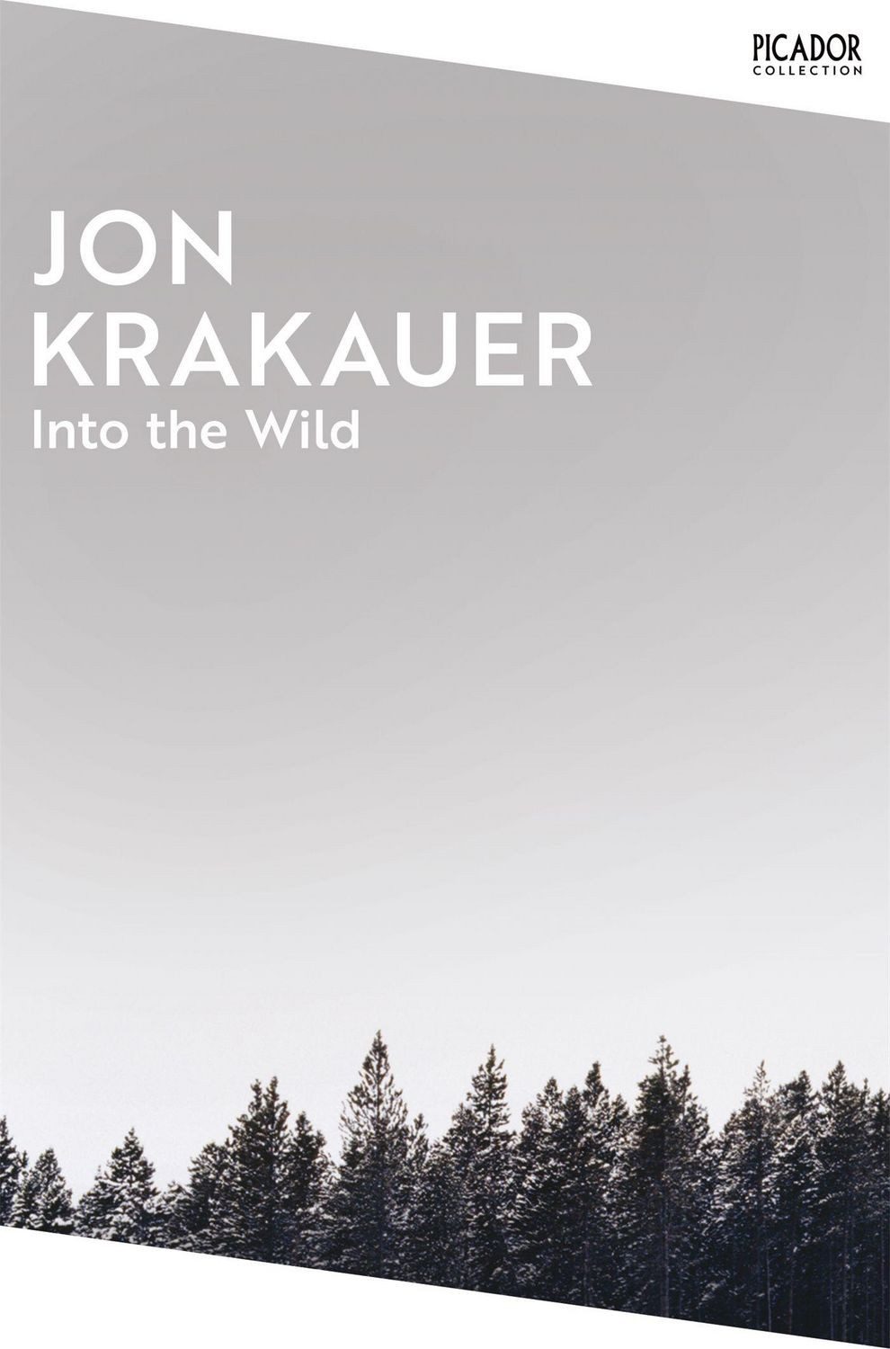 Into the Wild / Jon Krakauer