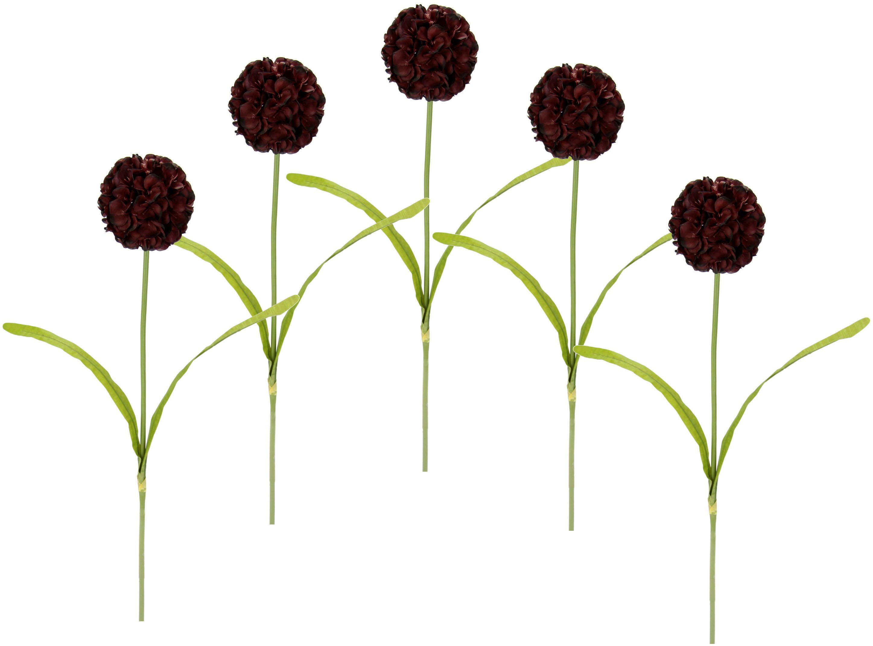 Kunstblume Allium, I.GE.A., Höhe 67 cm, 5er Set dunkelmauve