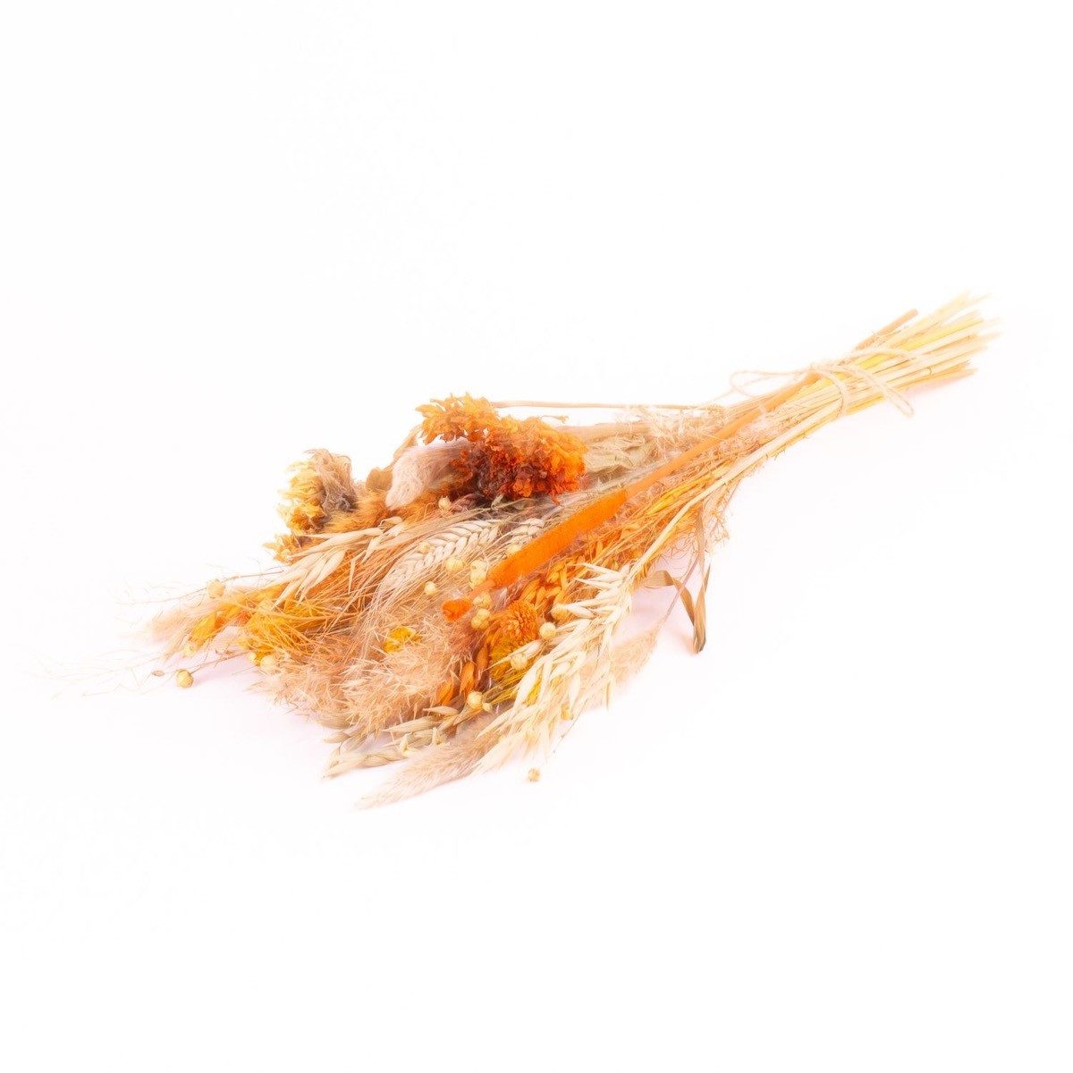 Trockenblume Trockenstrauß DILIANE, orange-gelb-Natur, 50cm, Ø15cm, INNA-Glas, Höhe 50.0 cm