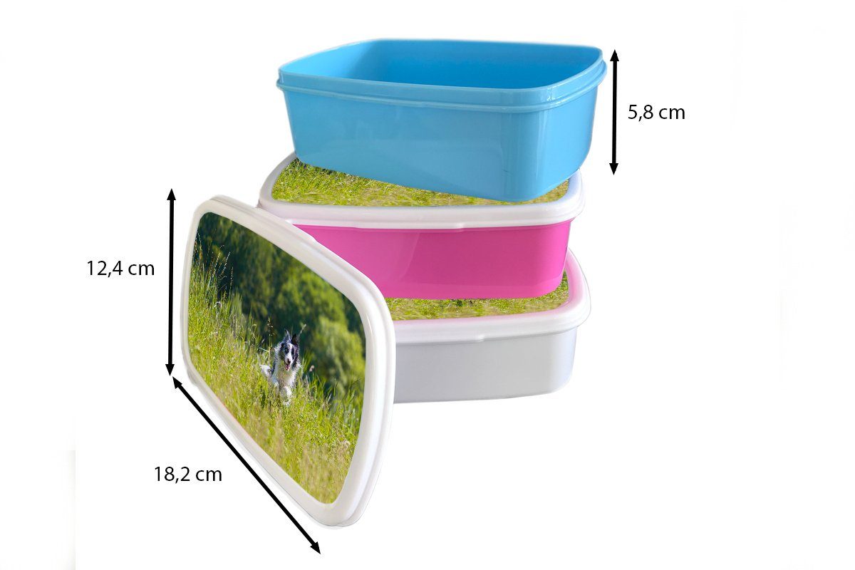 MuchoWow Lunchbox Ein Snackbox, Gras, grünen sprintender Collie Brotbox Kunststoff, für Mädchen, Kunststoff im (2-tlg), rosa hohen Erwachsene, Border Brotdose Kinder