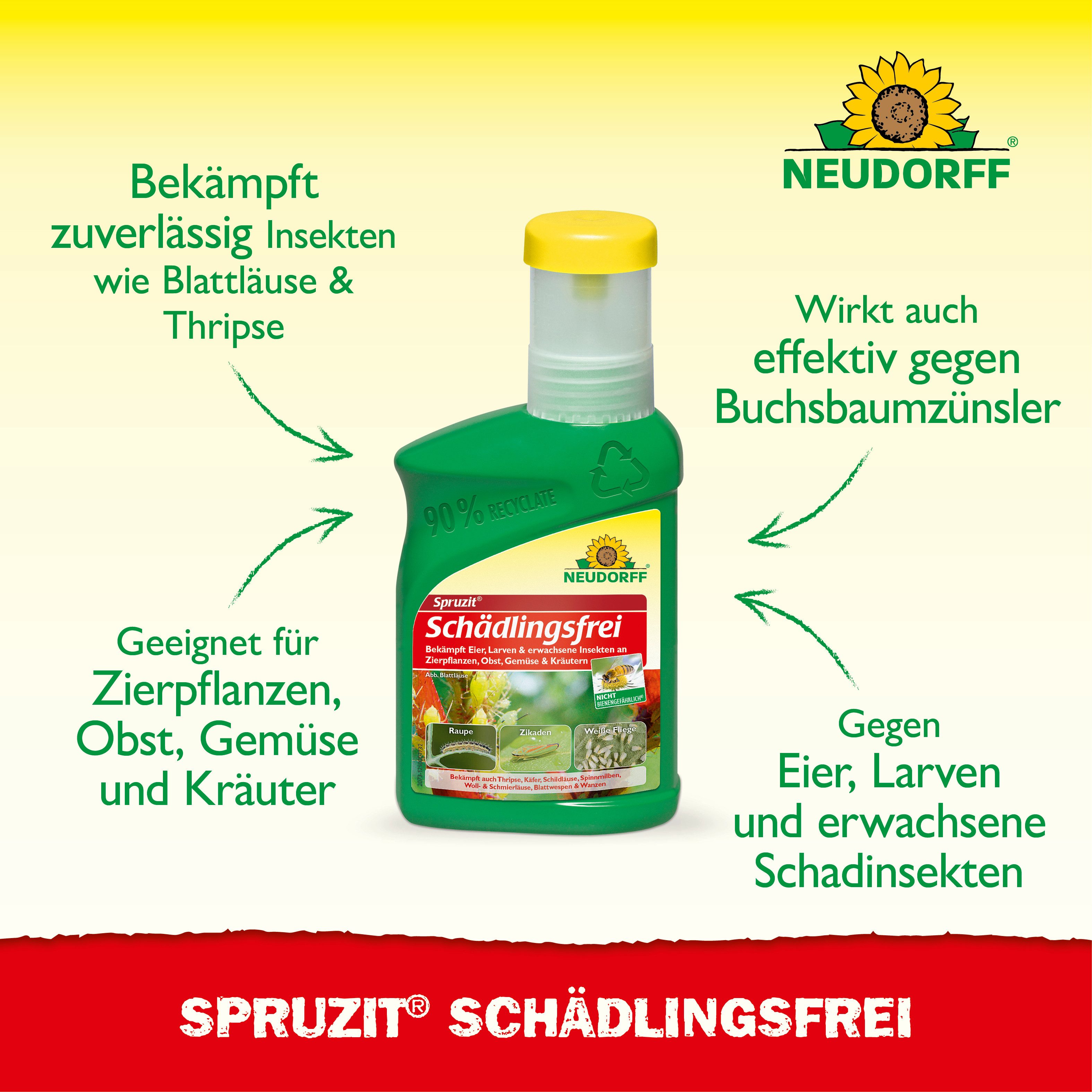 Neudorff Insektenspray Spruzit Schädlingsfrei 250 ml Konzentrat, 250 ml, Für Zierpflanzen, Gemüse & Kirschen in Haus und Garten, Konzentrat gegen zahlreiche Sch – Bild 2 von 5