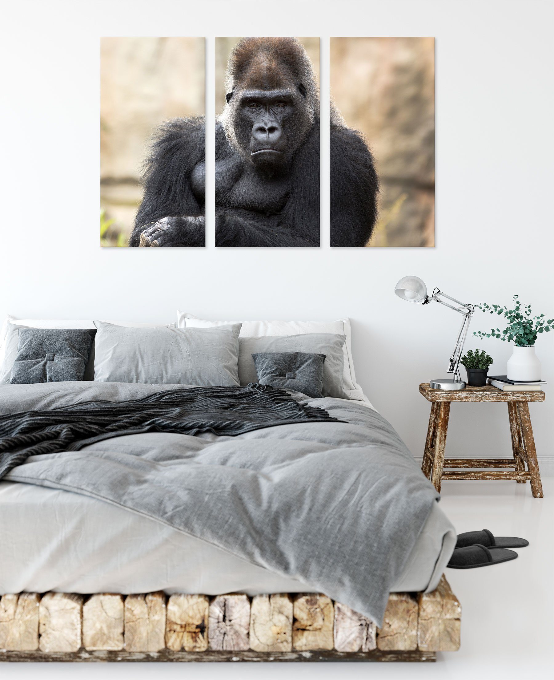 Pixxprint Leinwandbild inkl. Leinwandbild Gorilla, bespannt, (1 fertig gelangweilter Gorilla St), 3Teiler gelangweilter (120x80cm) Zackenaufhänger