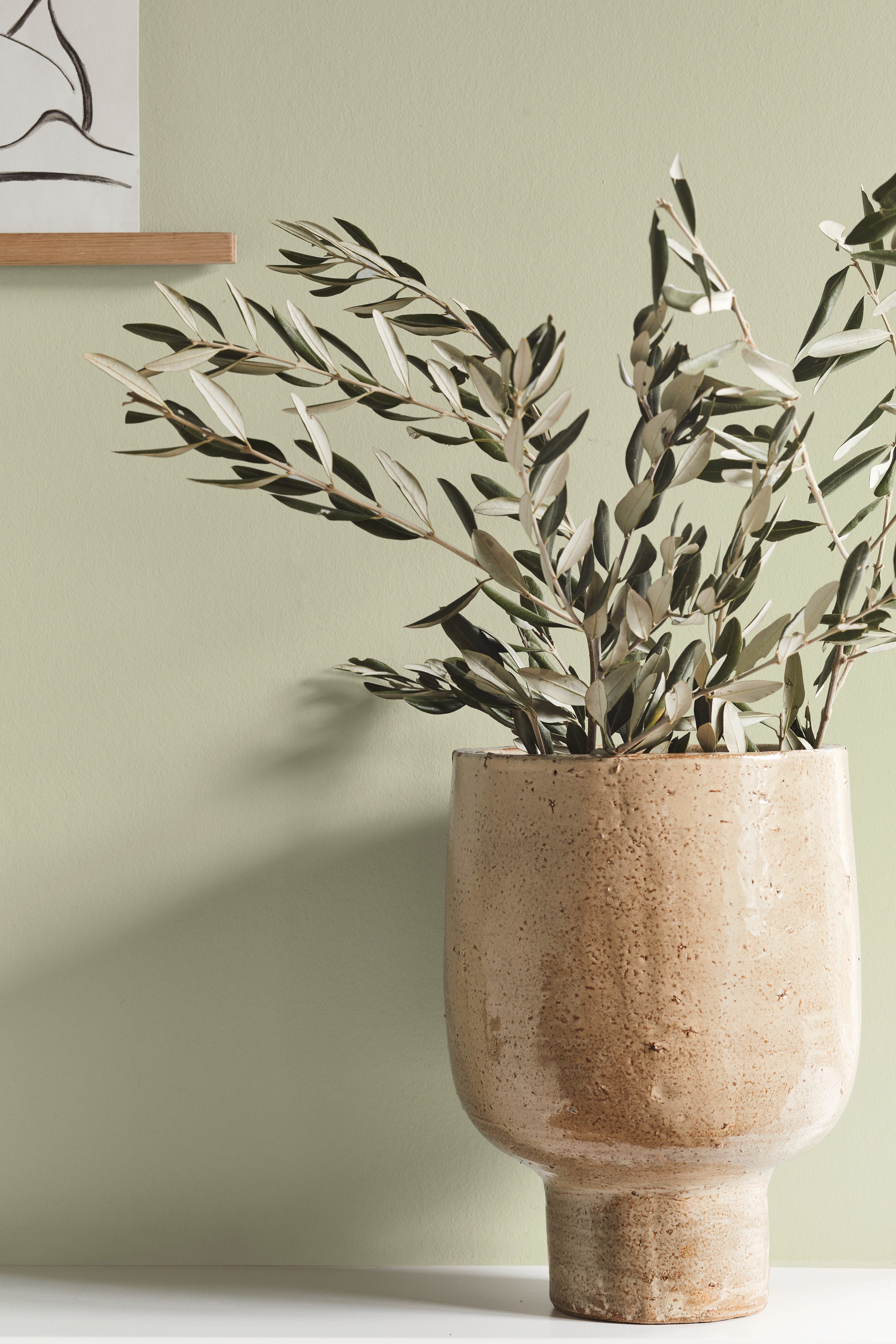 Alpina Wandfarbe Alpina Feine Farben + Gratis Rührstab