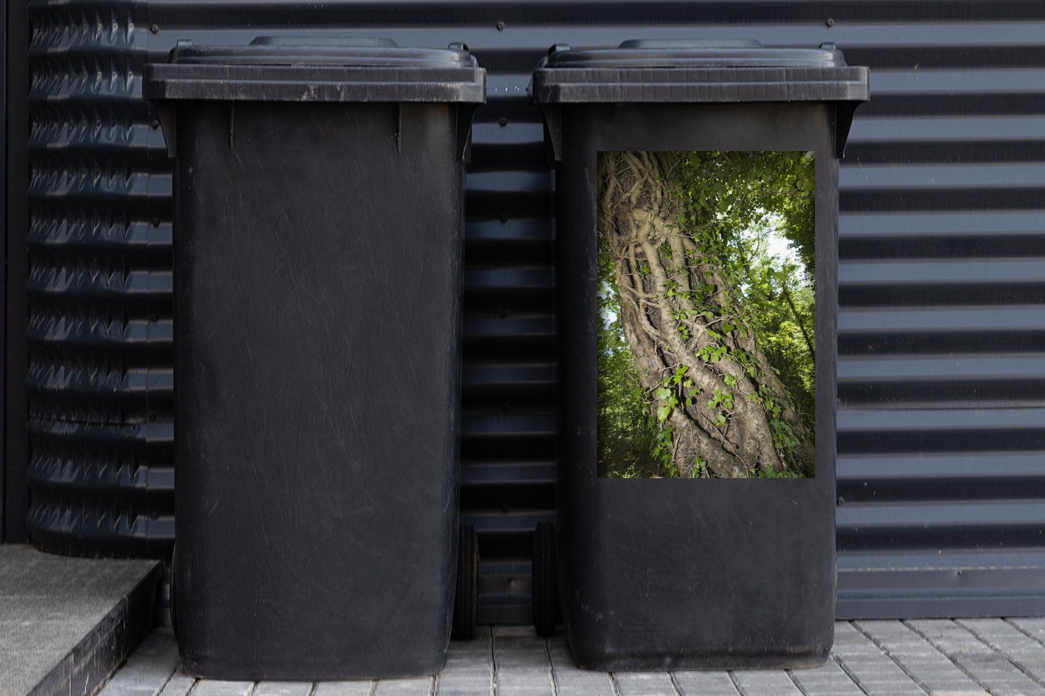 Sticker, Abfalbehälter großen Baum Wandsticker einem Eine Container, Hedera MuchoWow Mülltonne, St), Mülleimer-aufkleber, auf (1