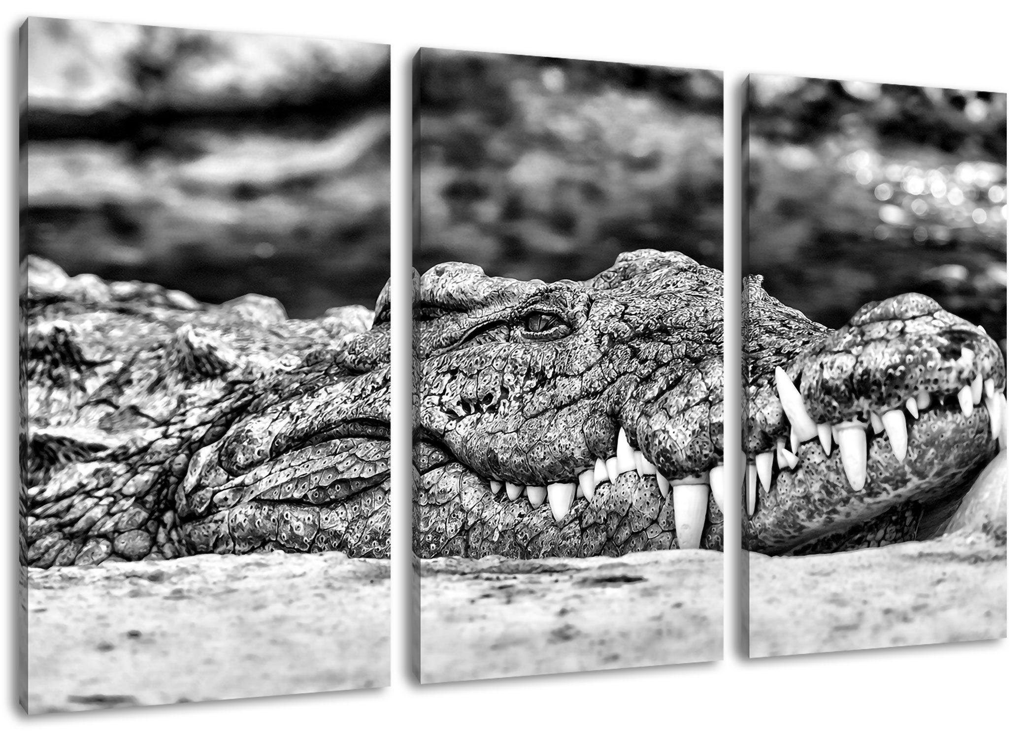 gigantisches Leinwandbild inkl. (1 St), Krokodil, Pixxprint bespannt, fertig Krokodil (120x80cm) gigantisches 3Teiler Leinwandbild Zackenaufhänger
