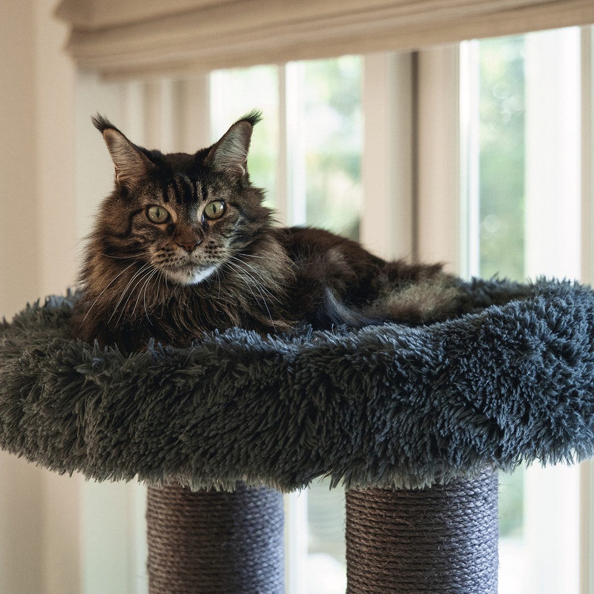 Beeztees Kratzbaum-Liegemulde Oberes Sofa für Kratzbaum Kaleo grau