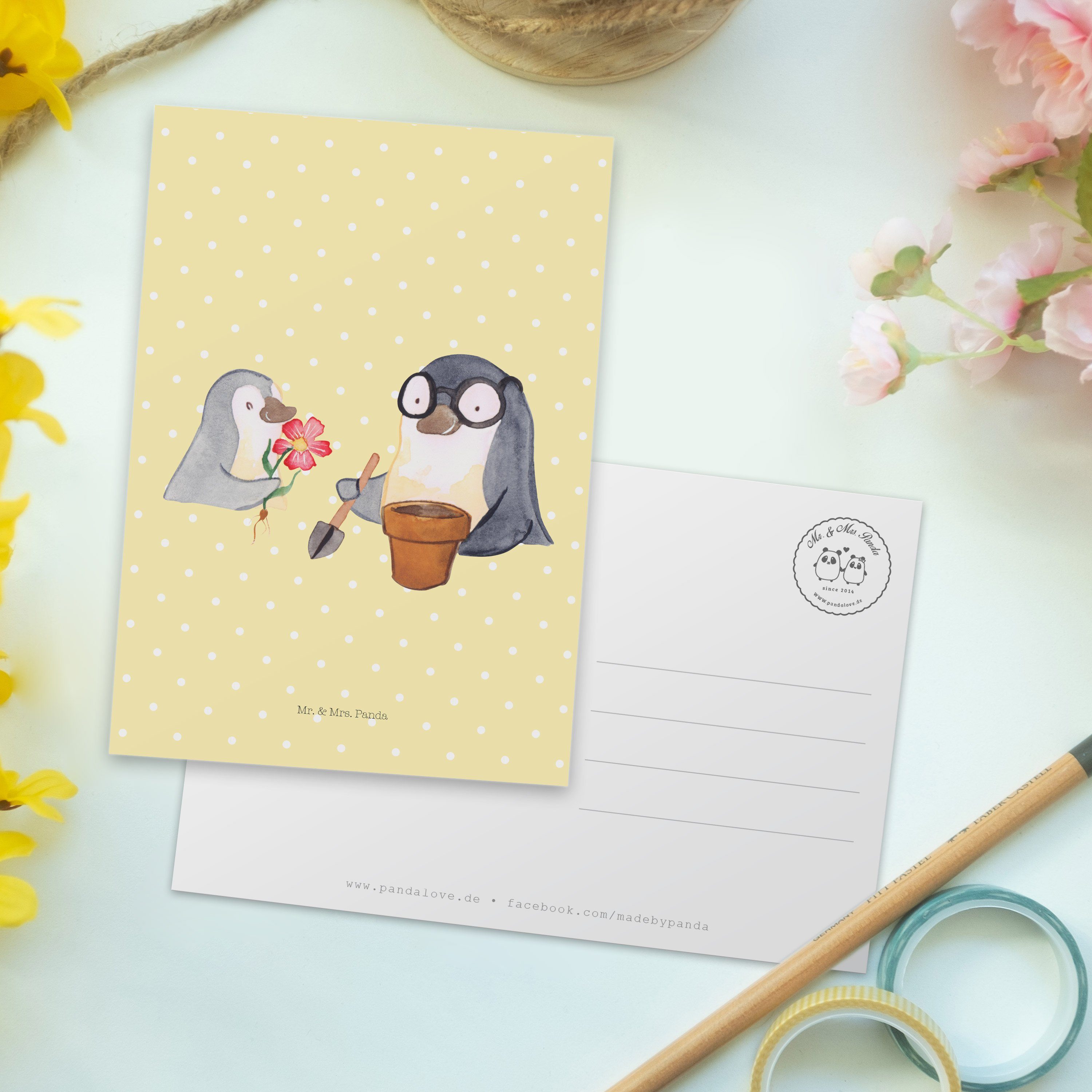Geschenk, & Pastell - Panda Mrs. pflanzen - Opa Blumen Ansichtskarte Pinguin Gelb Postkarte Mr.